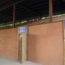 숲을 그리다 이미지