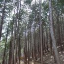 죽도봉주차장 이미지