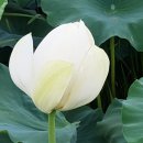 청연마을 이미지