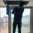 드림동물약품 | 창원 북면 감계 무동 시스템 에어컨청소, 보관을 위한 곰팡이 제거