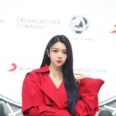 다미컴퍼니 세계일보