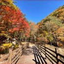 홍천미약골계곡트래킹(차5시간20분)산행(3시간)=단풍설악산급=가을산불예방기간(11/1~12/15)입산통제확인필수 이미지