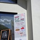 [강원/인제]분위기 좋은 카페에서 장 담그기 체험까지, 온유두담 내돈내산 후기