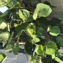 정도기업 태양광발전소 이미지