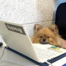 코스모(COSMO) 이미지