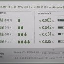 연세 솔 안과