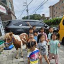 동물🐎/영어 이미지