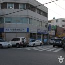인쇄거리 Daum카페