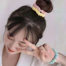 도도마켓 - 파주시 | 도도마켓