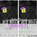 댕바라기 이미지