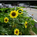 광산초등학교흘리분교장 이미지