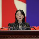 짝 이미지