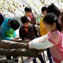 향긋농장 이미지