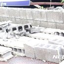 태풍카센타 이미지