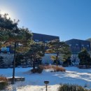 아이드림펫 이미지