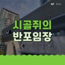 시골쥐의 반포임장기(반포자이, 반포리체, 반포래미안아이파크, 디에이치반포)