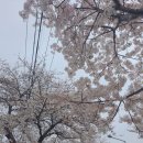 서호동-28 이미지