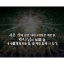 또시온