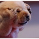 케이스 마켓 이미지