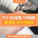 NP케어부산센텀점 네이버블로그