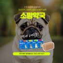 소망약국2 네이버블로그