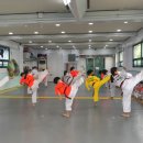 강담태권도 이미지