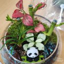 원예테라피_초록식물이 주는 마음의 위로 | 치유이야기] 스트레스 관리 "상처 너머 희망으로 피어나다" 원예테라피 치유산업경영학 민혜영 강사