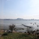 금강횟집 - 밀양시 백민로 33-4 | 금강횟집