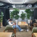 알리바이 신가점 이미지