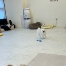 엘라 유치원 이미지