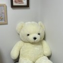 대왕세탁 이미지