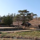 해동청풍비 이미지