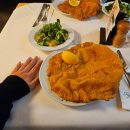 핑계식당 | 핑계고 풍향고 오스트리아 비엔나 맛집 피그뮐러 2호점 워크인 후기