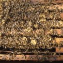 호운농장 이미지