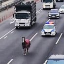 강변북로4 이미지