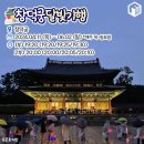 달빛우산