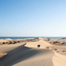 UR(공주시)-[동학사1로]-상-13 | 3월 충청도 1박2일 여행 코스 추천, 자연명소 관광 가이드