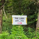 가평 감성 가비 스테이 이미지