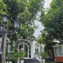 블루앤세탁소 | 호이안 블루 스카이 부티크 호텔 앤 스파 Hoi An Blue...디럭스 트윈룸 2박 후기 조식 수영장 자전거 대여