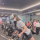 익스홀릭 가넷 이미지