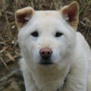 참진축산 이미지