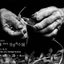 섬섬옥수 이미지