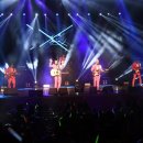 장미여관 이미지