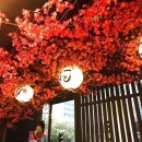 댕댕맛집 이미지