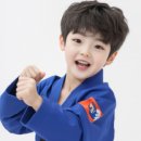 수림효태권도장 이미지