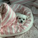 디케이워시 상주점 이미지