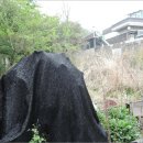 신촌동-4 이미지