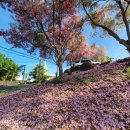 러브농장 이미지