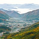 별빛축산 이미지