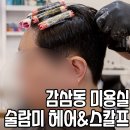 헤어술람미